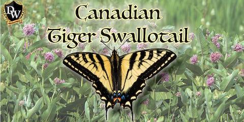 Winter Cabin 24 hrs mechanical clock